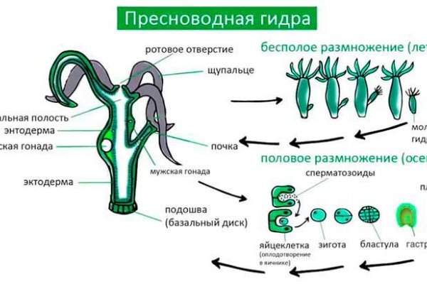 Кракен маркет что это такое