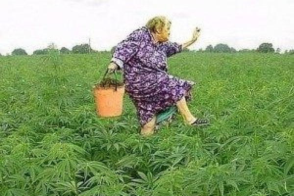 Кракен маркетплейс что