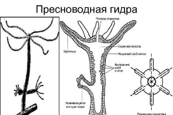 Кракен зеркало впн
