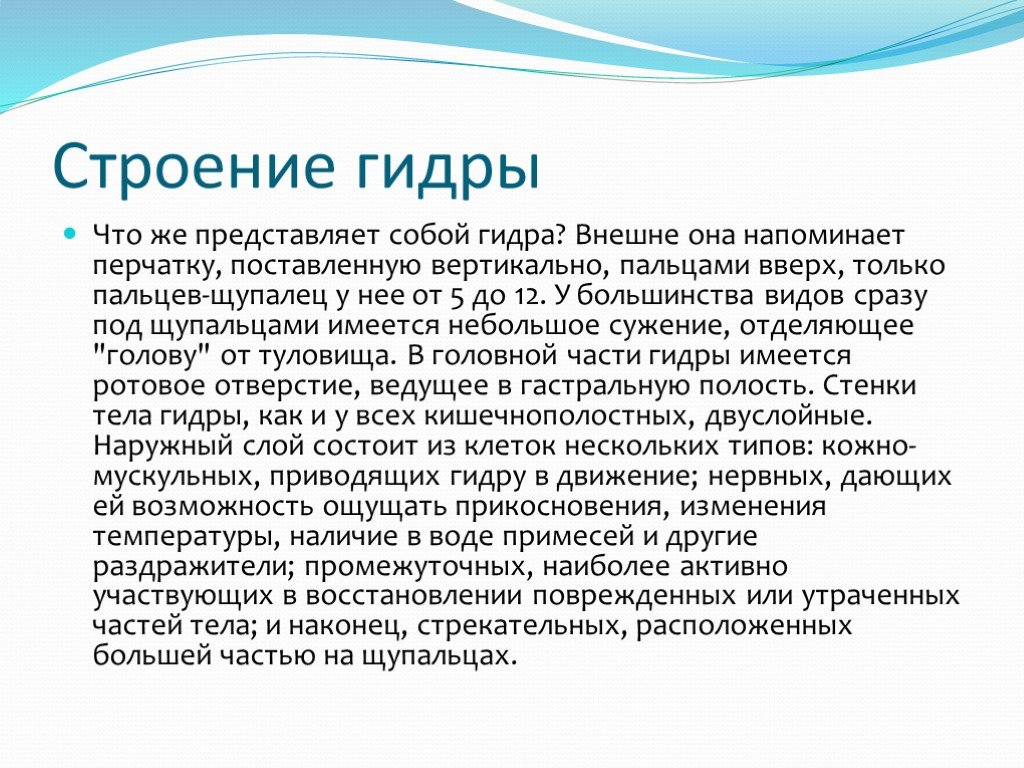Кракен наркокортель